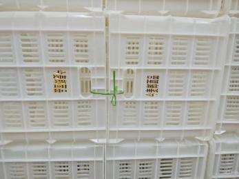 今麥郎、丹尼斯塑料筐